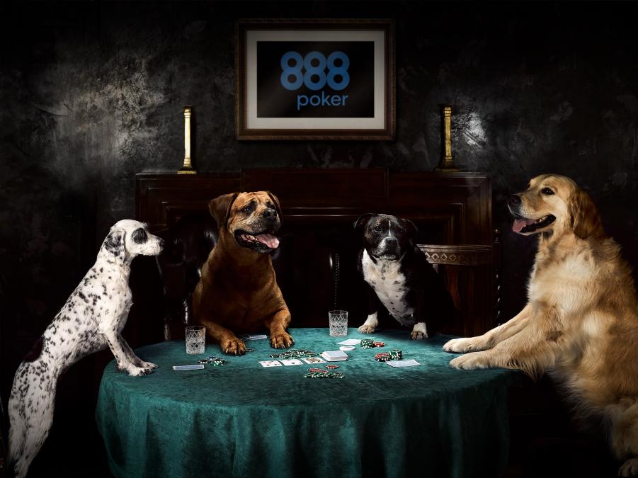 Hunde Spielen Poker