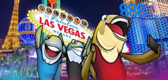 Wie man die Las Vegas Live Cash Games schlägt