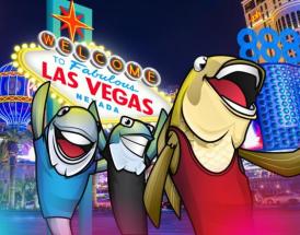 Wie man die Las Vegas Live Cash Games schlägt