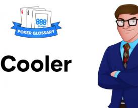 Cooler